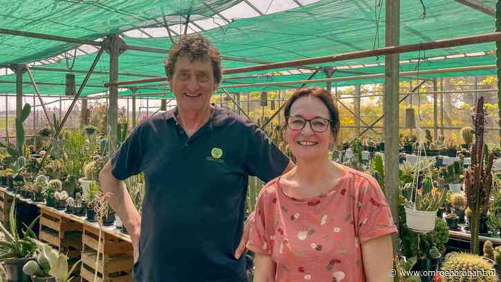 Kees heeft 1500 cactussen verzameld: 'Ze cadeau geven? Nooit'