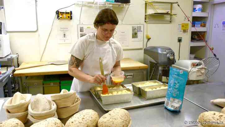 Mentorship program building 'strong foundation' for new entrepreneurs