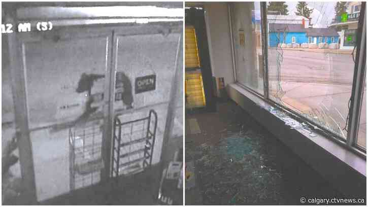 Southern Alberta store broken into by burly black bear