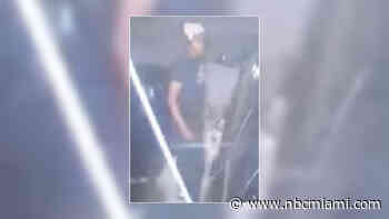 Teen accused of leading dogs to kill cat in Broward neighborhood facing felonies