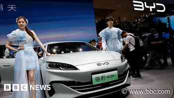 Tesla China rival BYD sees profits and sales fall