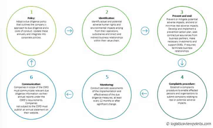 Corporate Sustainability Due Diligence Directive (CSDDD): Addressing the Entire Value Chain