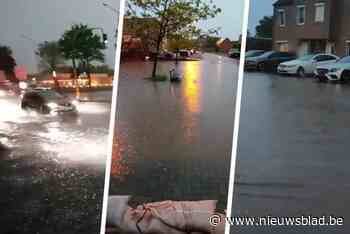 Tot 88 liter water per vierkante meter, tientallen straten blank en woning onbewoonbaar na blikseminslag: zware onweersbuien veroorzaken schade