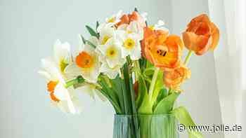 Blumen frisch halten: Mit diesem Pflanzen-Trick hält der Strauß 3 Wochen länger