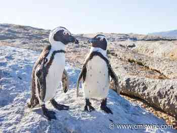 4 Internal Communication Strategy Tips to Boost Teams & Customer Experience