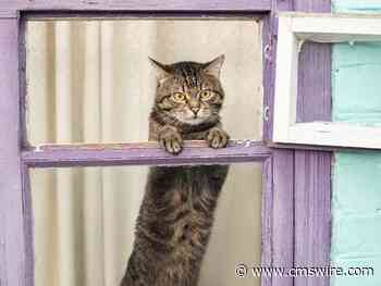 What Your Brand Needs to Know About FoMO Marketing