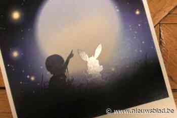 Sterrenregister voor stilgeboren kindjes