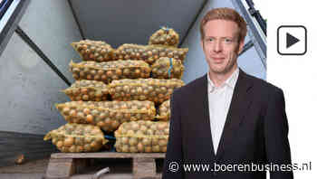 Uien zat, maar echte topkwaliteit droogt op