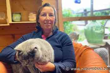 Ellen (40) aangevallen in asiel door dolgedraaide man die medische kosten voor zijn kat niet wil betalen: “Ik voel nog altijd de daver op mijn lijf”