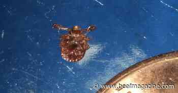 Farm Progress America, May 3, 2024