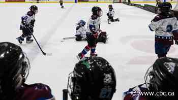 Thunder Bay's minor hockey associations are merging. Officials say it's 'a great day for hockey'