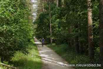 Fietspaden aan De Lilse Bergen krijgen opknapbeurt: “Vijf centimeter nieuwe dolomiet”