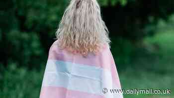 Inside the bizarre rise of the 'phalgina': Cosmetic clinics are offering 'grotesque' £10,000 surgery to craft non-binary people a penis AND vagina