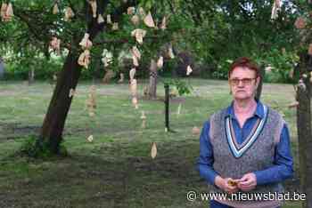 Kunstcollectief maakt zich op voor vijfde editie van Boomgaerd-expo