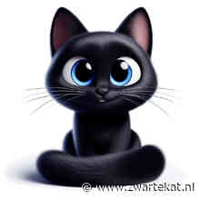 In de media: Piet van Eeghen, Rayen Panday, Valentina Tóth