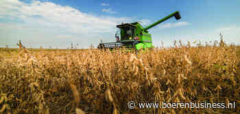 Tot 8 miljoen ton soja is verzopen in Brazilië