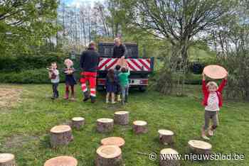 Takken monumentale beuk die eeuwen naast kasteel waakte, krijgen tweede leven in scholen