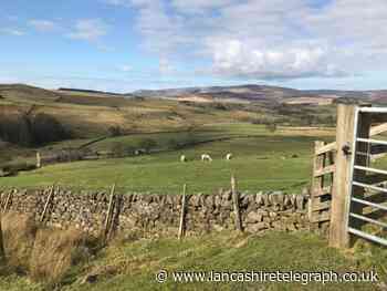 Ribble Valley horticulture firm boss blasts UK farming policies