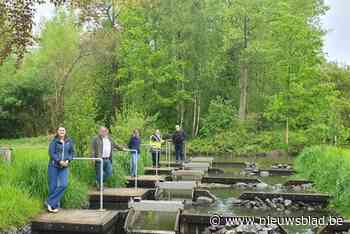 Overstromingen vermijden en vissen kunnen nu de trap nemen: stuw die er kwam na protest tegen komst van E17 en R4 krijgt upgrade