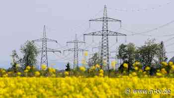 Sonnen-Chef im Interview: Können Heimspeicher das deutsche Stromnetz retten?