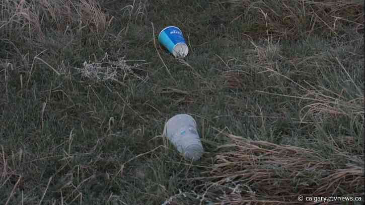 Spring cleaning: Calgarians rolling up sleeves for annual litter pickup