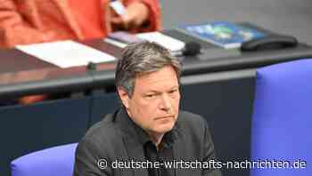 Robert Habeck sollte endlich die Kehrtwende vollziehen - im Heizungskeller Deutschlands