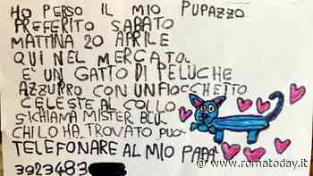 Nel mercato di Centocelle tutti cercano Mister Blu, l'appello: "È il mio peluche preferito, aiutatemi"
