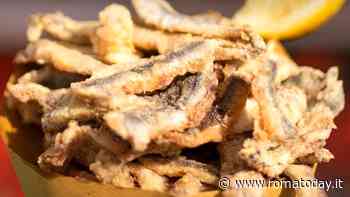 Casal Bruciato TTS Street Food