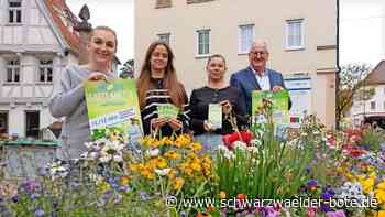 Nagolder Innenstadt: Ein Mega-Wochenende steht ins Haus