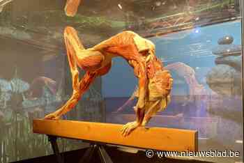 Body Worlds strijkt opnieuw neer in Brugge