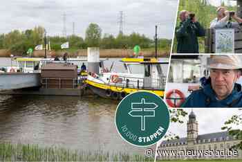 De Drieverenwandeling tussen Hemiksem, Schelle en Rupelmonde: de natuur op haar best langs de Schelde