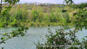 Absperrung: Im Pfuhler Baggersee wird eine neue "Holzkette" angebracht