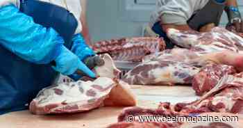 Meat Institute guidance fights child labor, identity fraud