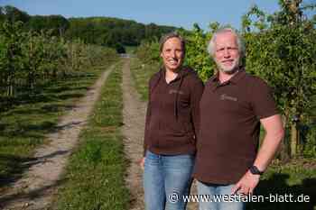 Windpark-Pläne von Peter Lacke: „Wir haben Nein gesagt“