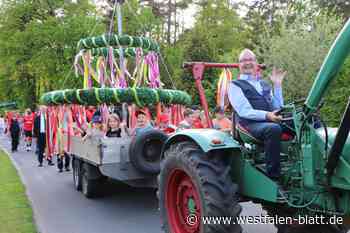 Maibaum in Liemke Zeichen der Gemeinschaft