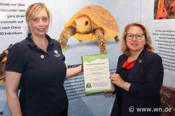 Hoffnung für bedrohte Gelbkopfschildkröten in Kambodscha
