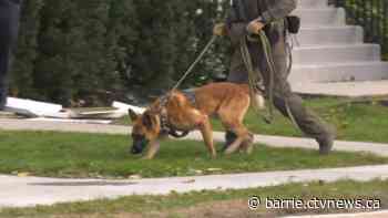 Barrie police lay attempted murder charge after individual airlifted in critical condition