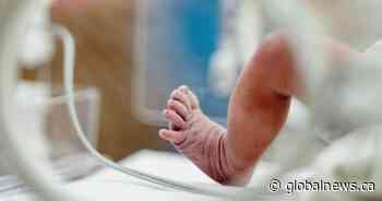 Alberta commits $26M to women’s health research, expanding newborn screening program