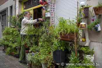 Geveltuin van Peter in Wetstraat moet na 20 jaar weg: “Nu wordt hier een punt van gemaakt? We moeten toch vergroenen?”