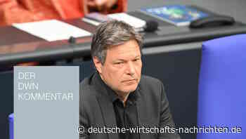DWN-Kommentar: Robert Habeck sollte endlich die Kehrtwende vollziehen - im Heizungskeller Deutschlands