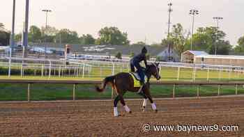 After top betting choices Fierceness and Sierra Leone, it's wide open for the 150th Kentucky Derby