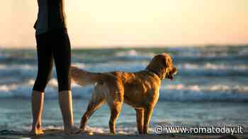 A Maccarese il Baubeach, a Ostia una spiaggia libera: la stagione estiva comincia anche per i cani