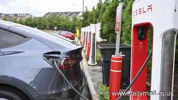 How Elon Musk's Tesla firing spree could nuke Biden's plan for America to go fully electric by 2035