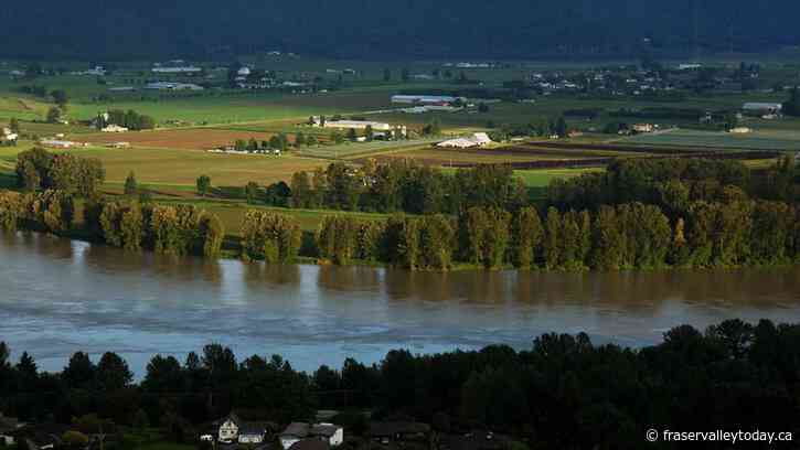 Abbotsford residents living near Matsqui dikes advised against activities that could lead to seepage