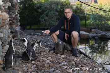 “Geen tijgers, wel dwergaapjes”: zevende dierentuin van Vlaanderen ligt in achtertuin in Kessenich