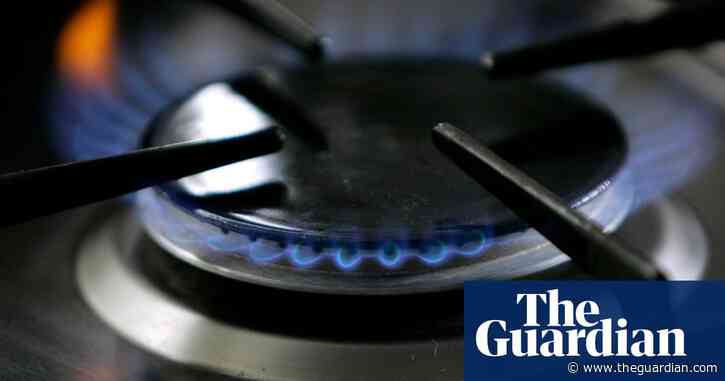 Gas stoves increase nitrogen dioxide exposure above WHO standards – study