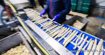 Sonniges Wetter beflügelt Spargelernte