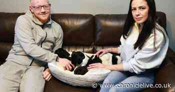 Tragedy as Gateshead woman loses four pets in house fire - but five puppies saved by neighbours