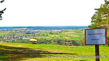 Weniger Grillstellen in Wildberg: Stadt will Partys und Vandalismus einschränken