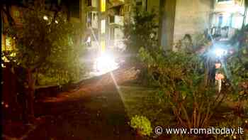 Albero crolla su un palazzo delle case popolari